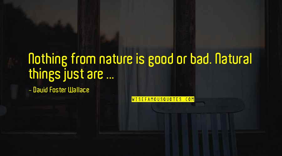 Seljan Hatun Quotes By David Foster Wallace: Nothing from nature is good or bad. Natural