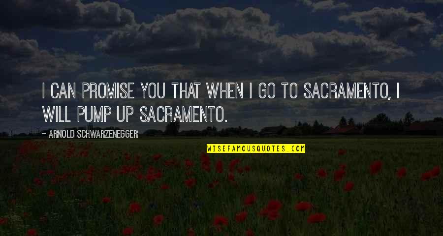 Sellado Con Quotes By Arnold Schwarzenegger: I can promise you that when I go Sellado Con Quotes By Arnold Schwarzenegger: I can promise you that when I go