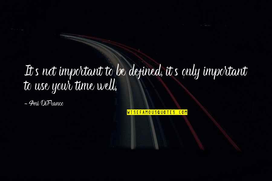 Sellest Saab Quotes By Ani DiFranco: It's not important to be defined, it's only