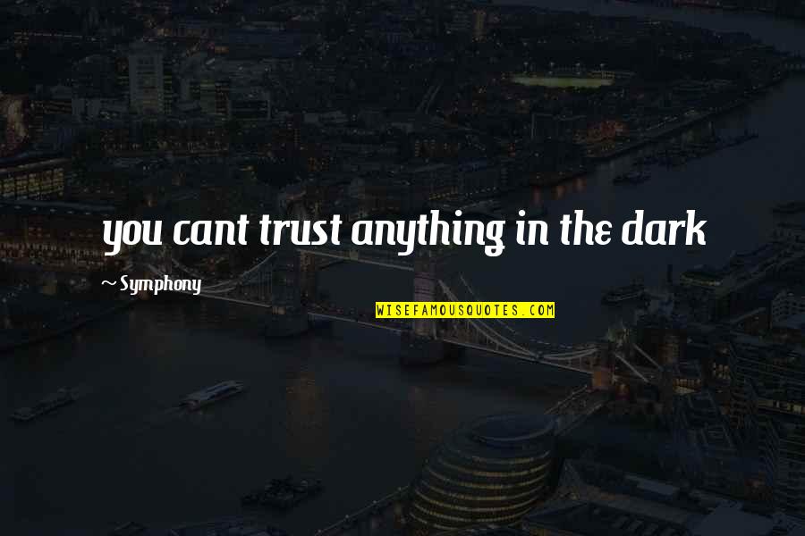 Selly Automotive Quotes By Symphony: you cant trust anything in the dark