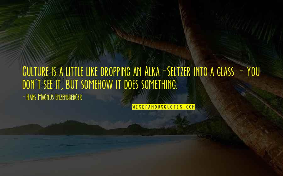 Seltzer Quotes By Hans Magnus Enzensberger: Culture is a little like dropping an Alka-Seltzer Seltzer Quotes By Hans Magnus Enzensberger: Culture is a little like dropping an Alka-Seltzer