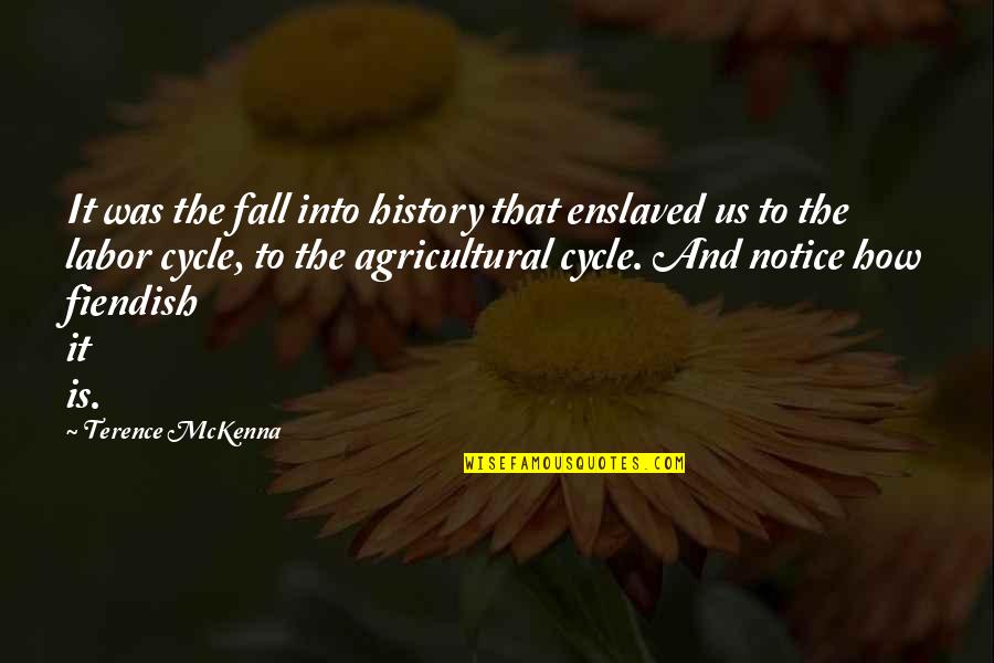 Selvagens Islands Quotes By Terence McKenna: It was the fall into history that enslaved