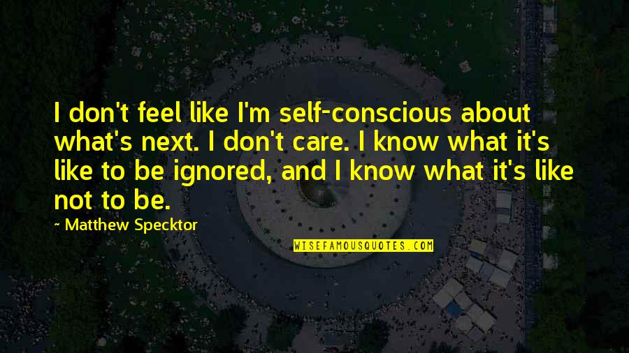 Selvarajah Quotes By Matthew Specktor: I don't feel like I'm self-conscious about what's