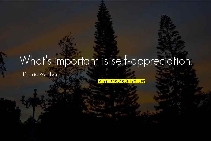 Sembuh Quotes By Donnie Wahlberg: What's important is self-appreciation. Sembuh Quotes By Donnie Wahlberg: What's important is self-appreciation.