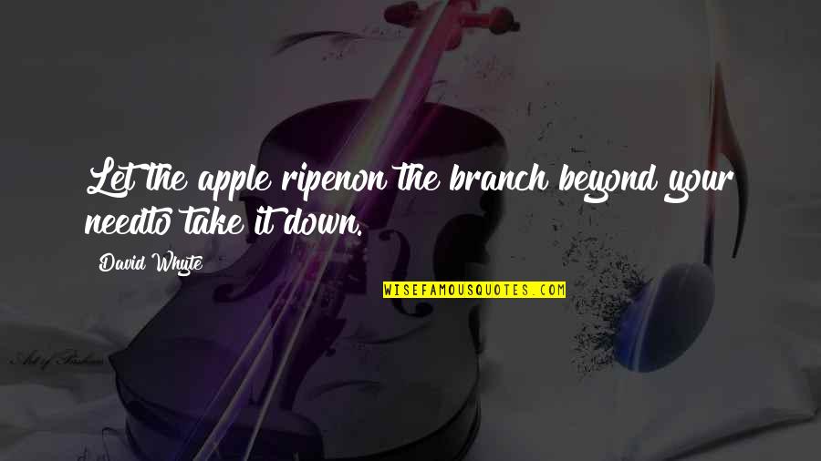 Semerkant Nerede Quotes By David Whyte: Let the apple ripenon the branch beyond your