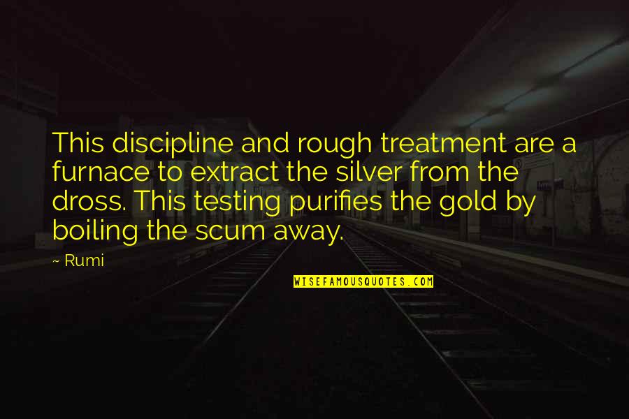 Semillas De Moringa Quotes By Rumi: This discipline and rough treatment are a furnace Semillas De Moringa Quotes By Rumi: This discipline and rough treatment are a furnace