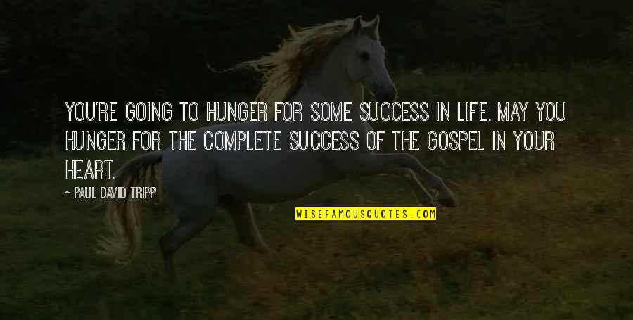 Semimen Quotes By Paul David Tripp: You're going to hunger for some success in