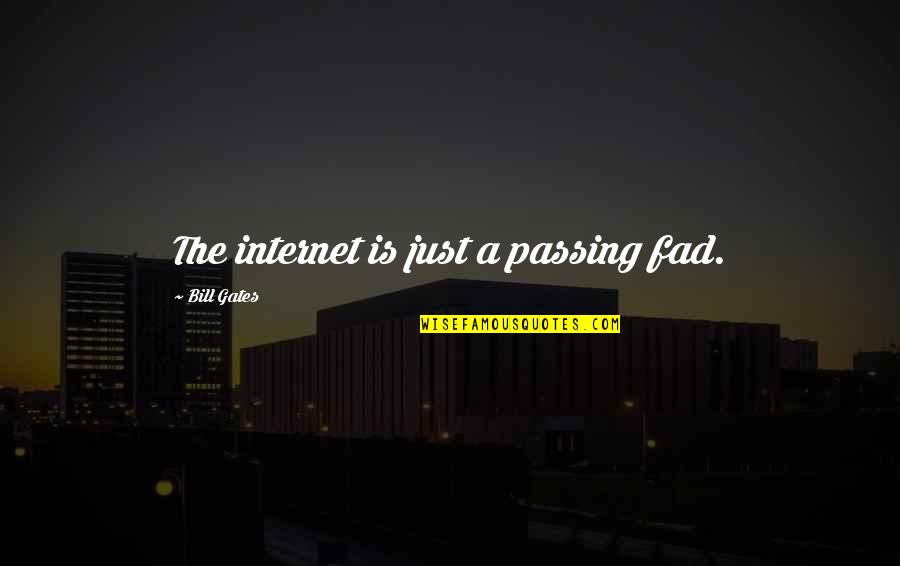 Seminar Invitation Quotes By Bill Gates: The internet is just a passing fad.