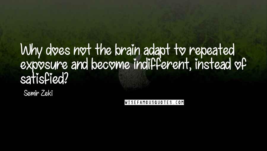 Semir Zeki quotes: Why does not the brain adapt to repeated exposure and become indifferent, instead of satisfied?