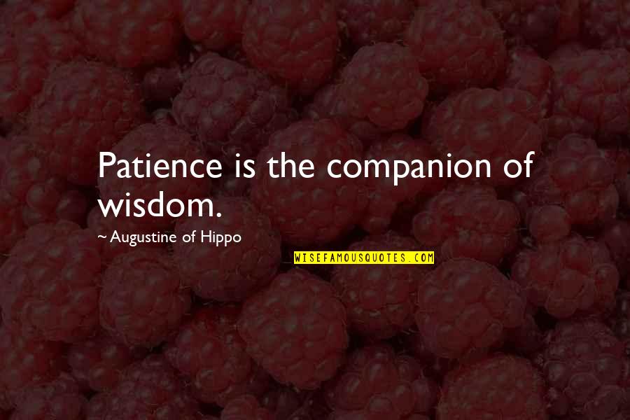 Semnificatii Ale Quotes By Augustine Of Hippo: Patience is the companion of wisdom.