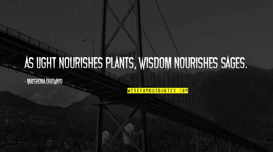 Semolina Quotes By Matshona Dhliwayo: As light nourishes plants, wisdom nourishes sages.