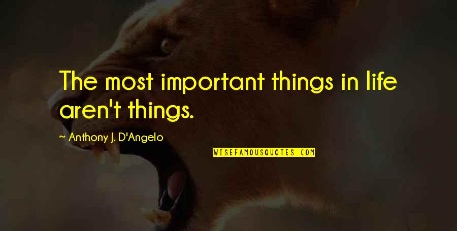 Semper Fidelis Quotes By Anthony J. D'Angelo: The most important things in life aren't things.