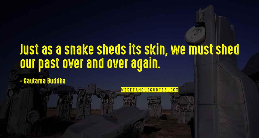 Sen Cal Kapimi Quotes By Gautama Buddha: Just as a snake sheds its skin, we