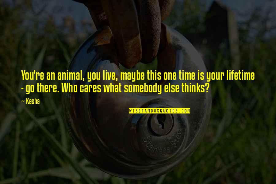 Senaryo Kurslari Quotes By Kesha: You're an animal, you live, maybe this one Senaryo Kurslari Quotes By Kesha: You're an animal, you live, maybe this one