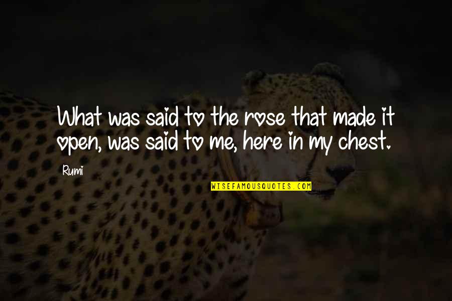 Senator Paul Wellstone Quotes By Rumi: What was said to the rose that made