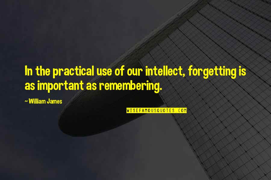 Senchi Alpha Quotes By William James: In the practical use of our intellect, forgetting
