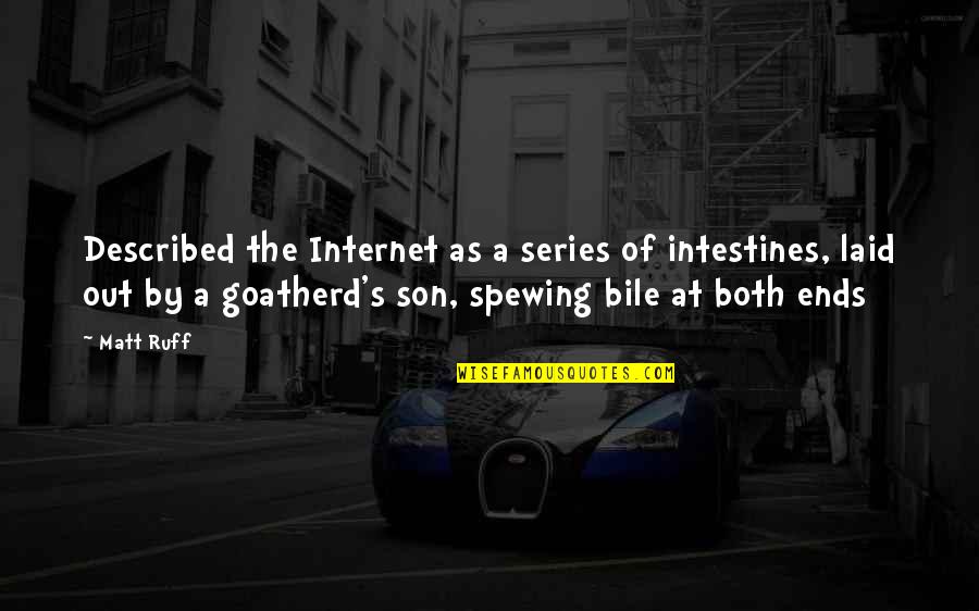 Send It Now Quote Quotes By Matt Ruff: Described the Internet as a series of intestines,