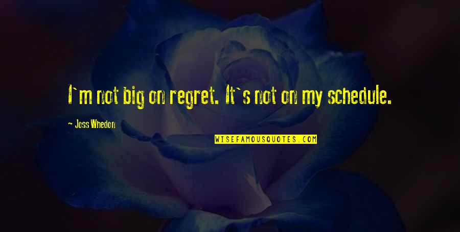 Sending Love Quotes By Joss Whedon: I'm not big on regret. It's not on