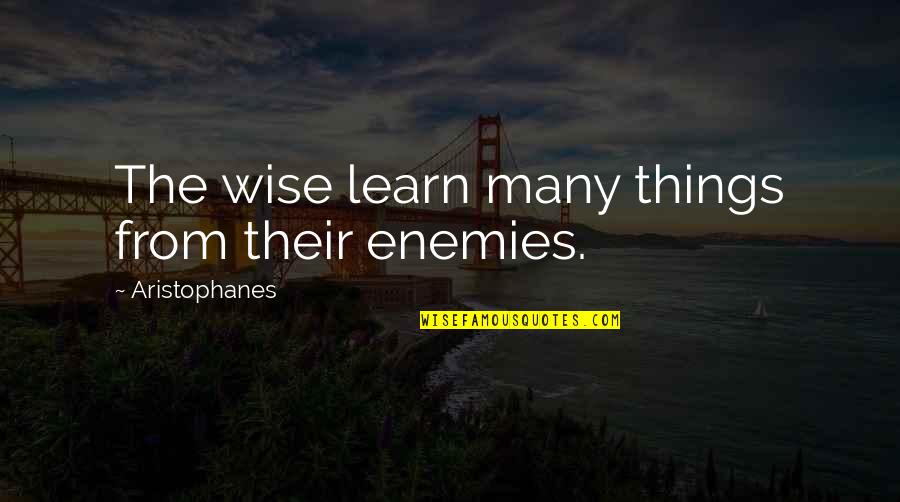 Sendup Quotes By Aristophanes: The wise learn many things from their enemies.