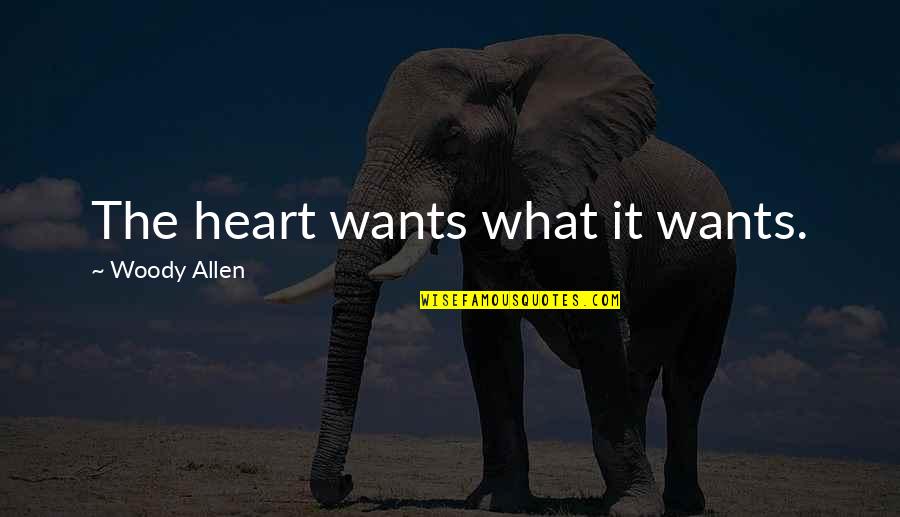 Seneca Quotes And Quotes By Woody Allen: The heart wants what it wants.