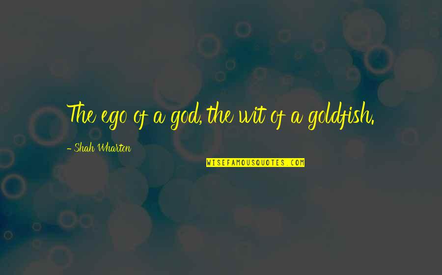 Senecio Quotes By Shah Wharton: The ego of a god, the wit of Senecio Quotes By Shah Wharton: The ego of a god, the wit of