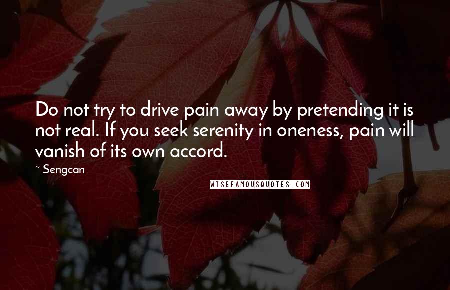 Sengcan quotes: Do not try to drive pain away by pretending it is not real. If you seek serenity in oneness, pain will vanish of its own accord. Sengcan quotes: Do not try to drive pain away by pretending it is not real. If you seek serenity in oneness, pain will vanish of its own accord.