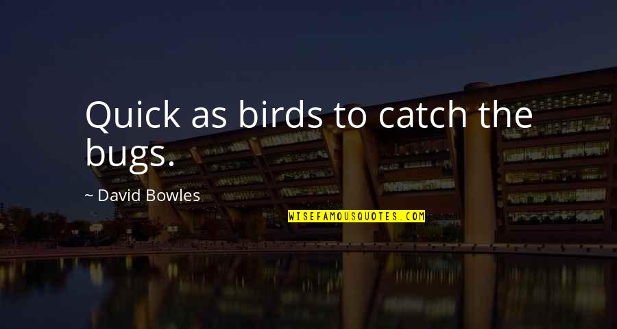 Senile Lentigines Quotes By David Bowles: Quick as birds to catch the bugs.