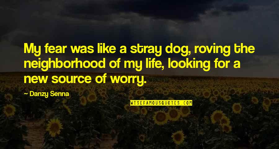 Senna Quotes By Danzy Senna: My fear was like a stray dog, roving