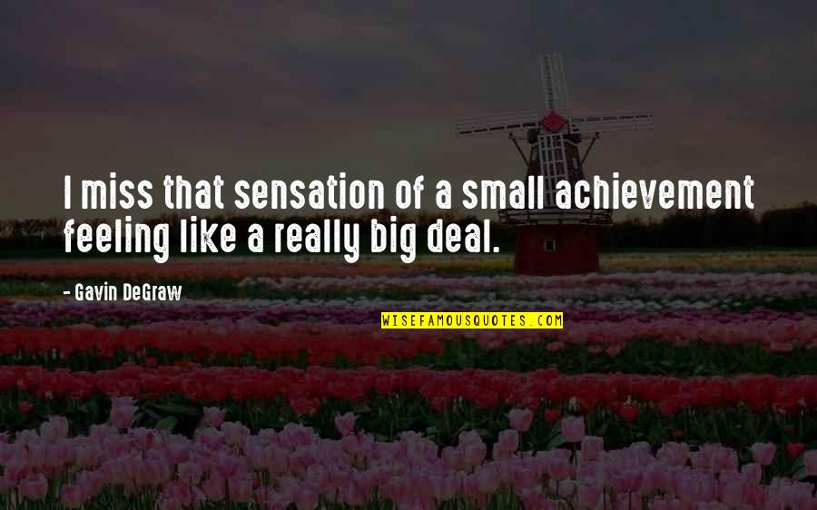 Sensation Quotes By Gavin DeGraw: I miss that sensation of a small achievement