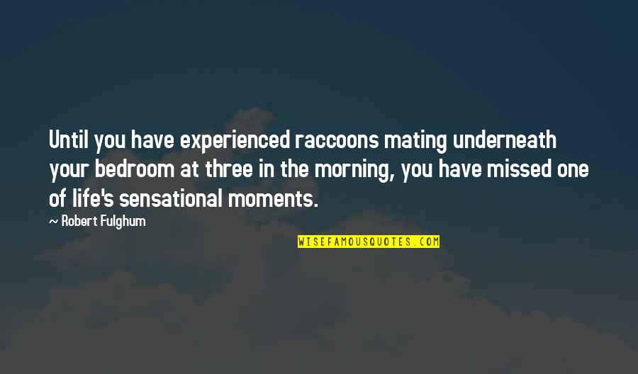 Sensational Life Quotes By Robert Fulghum: Until you have experienced raccoons mating underneath your