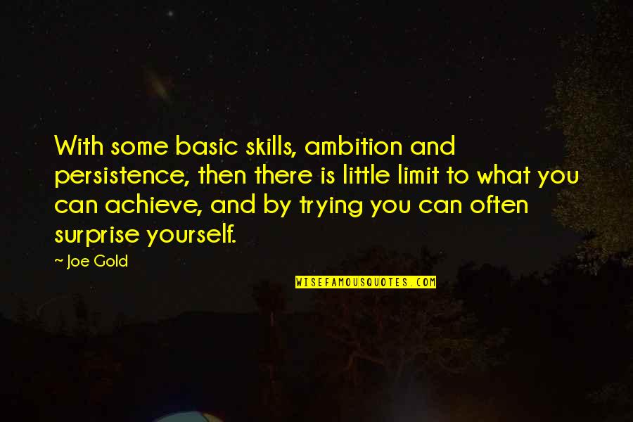 Sense For Decor Quotes By Joe Gold: With some basic skills, ambition and persistence, then Sense For Decor Quotes By Joe Gold: With some basic skills, ambition and persistence, then