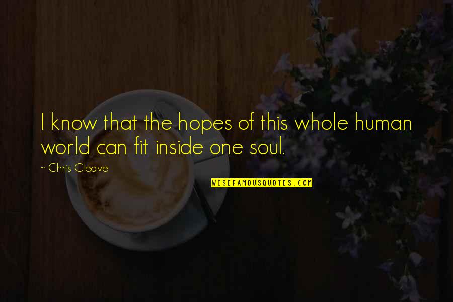 Sense Of Art Motivational Quotes By Chris Cleave: I know that the hopes of this whole