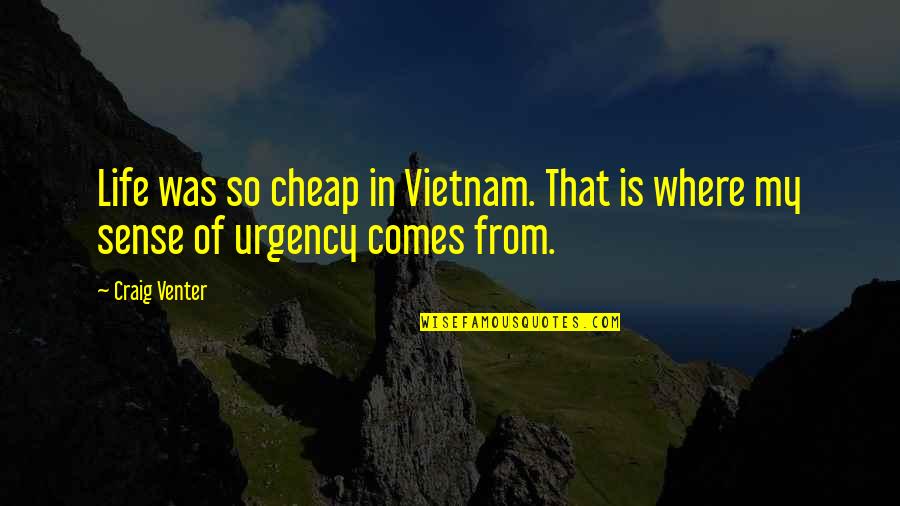 Sense Of Life Quotes By Craig Venter: Life was so cheap in Vietnam. That is