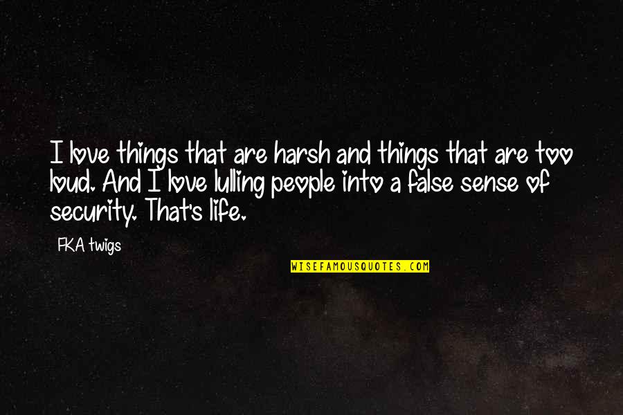 Sense Of Security Quotes By FKA Twigs: I love things that are harsh and things