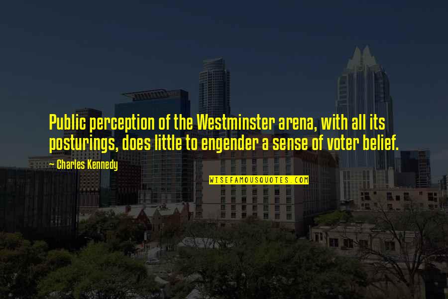 Sense Perception Quotes By Charles Kennedy: Public perception of the Westminster arena, with all