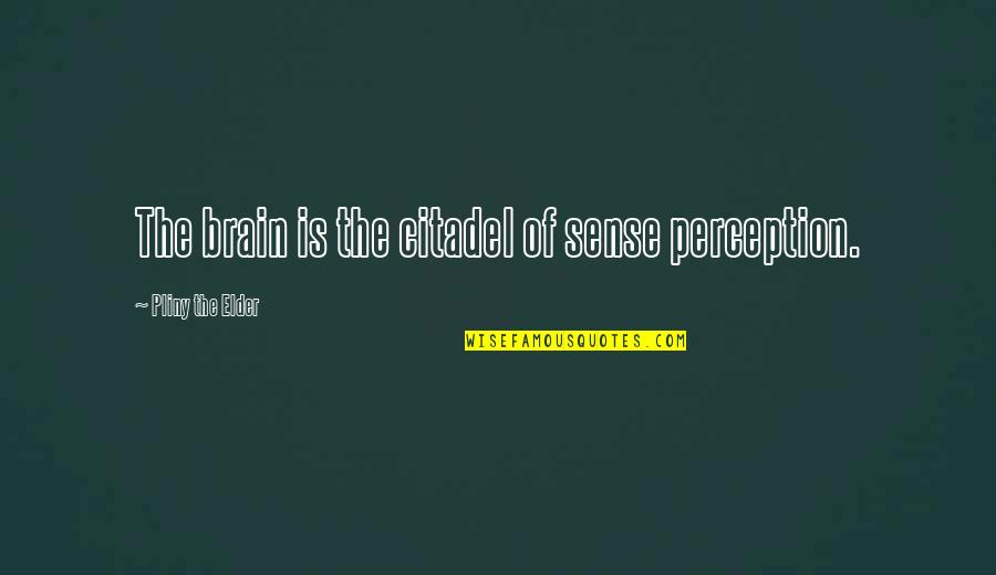 Sense Perception Quotes By Pliny The Elder: The brain is the citadel of sense perception.