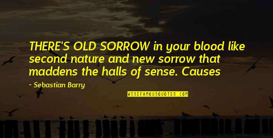 Sense Quotes By Sebastian Barry: THERE'S OLD SORROW in your blood like second
