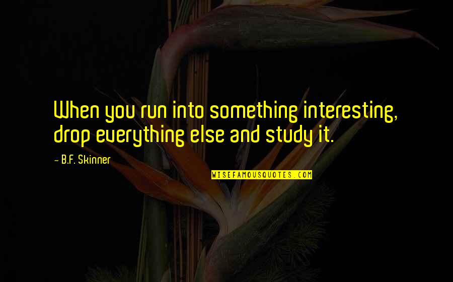 Sense8 Netflix Quotes By B.F. Skinner: When you run into something interesting, drop everything