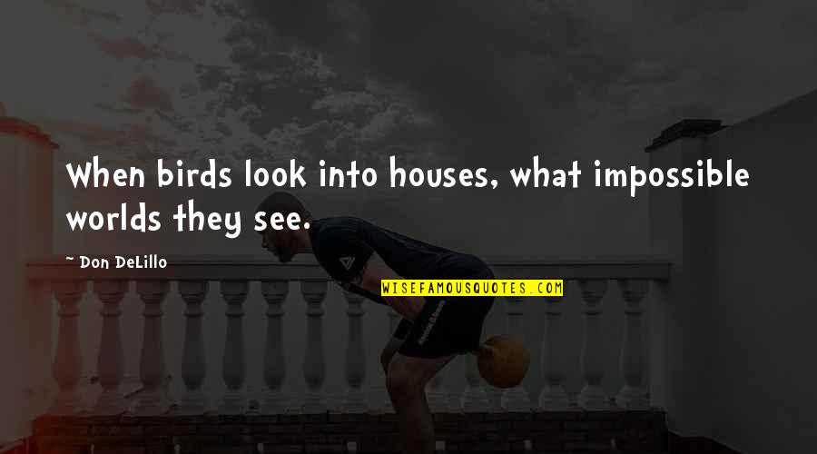 Sensei John Quotes By Don DeLillo: When birds look into houses, what impossible worlds