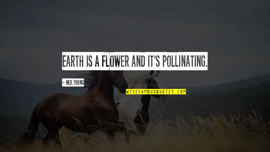 Senselessness Moya Quotes By Neil Young: Earth is a flower and it's pollinating. Senselessness Moya Quotes By Neil Young: Earth is a flower and it's pollinating.