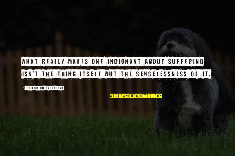 Senselessness Quotes By Friedrich Nietzsche: What really makes one indignant about suffering isn't