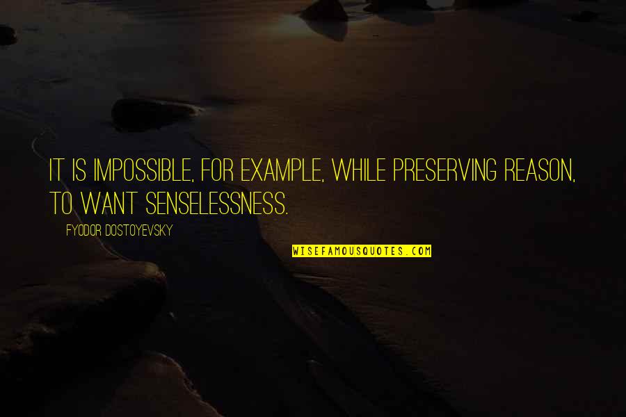 Senselessness Quotes By Fyodor Dostoyevsky: It is impossible, for example, while preserving reason,