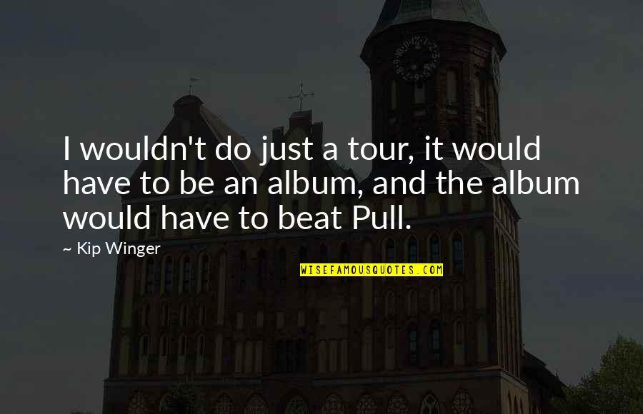 Sensible Quotes And Quotes By Kip Winger: I wouldn't do just a tour, it would