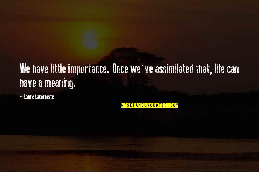 Sensilles Quotes By Laure Lacornette: We have little importance. Once we've assimilated that,