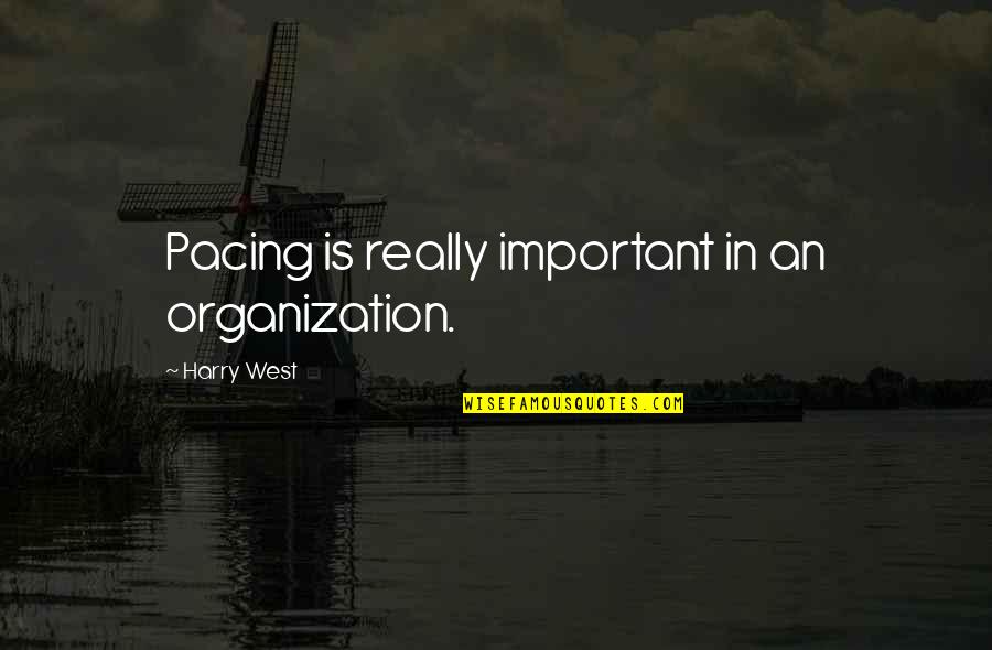 Sensing Murder Quotes By Harry West: Pacing is really important in an organization.