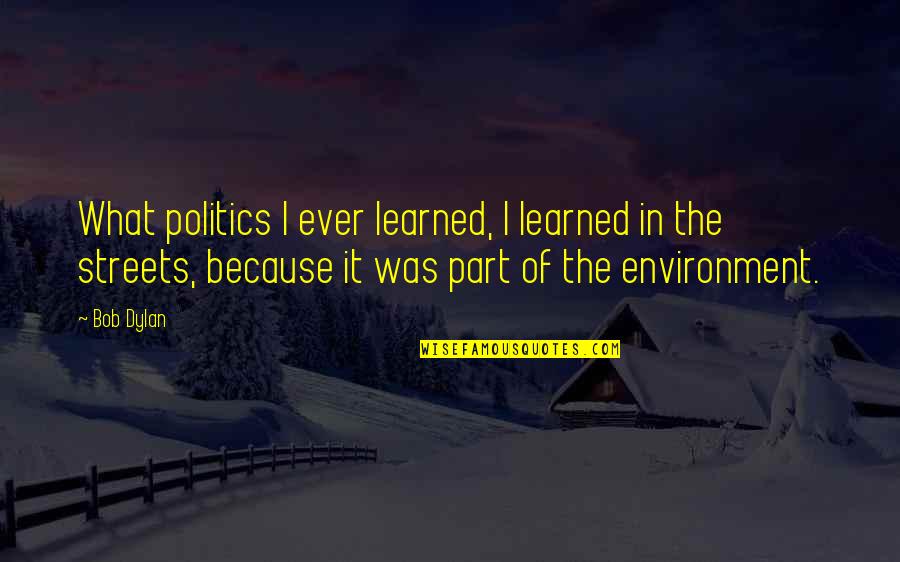 Sensitiveness Quotes By Bob Dylan: What politics I ever learned, I learned in