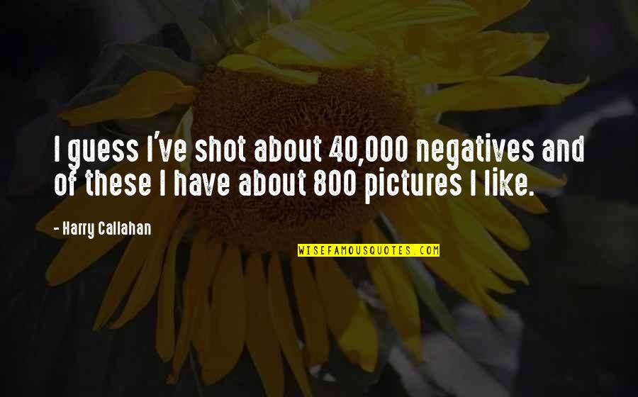 Sensitized Stainless Steel Quotes By Harry Callahan: I guess I've shot about 40,000 negatives and Sensitized Stainless Steel Quotes By Harry Callahan: I guess I've shot about 40,000 negatives and
