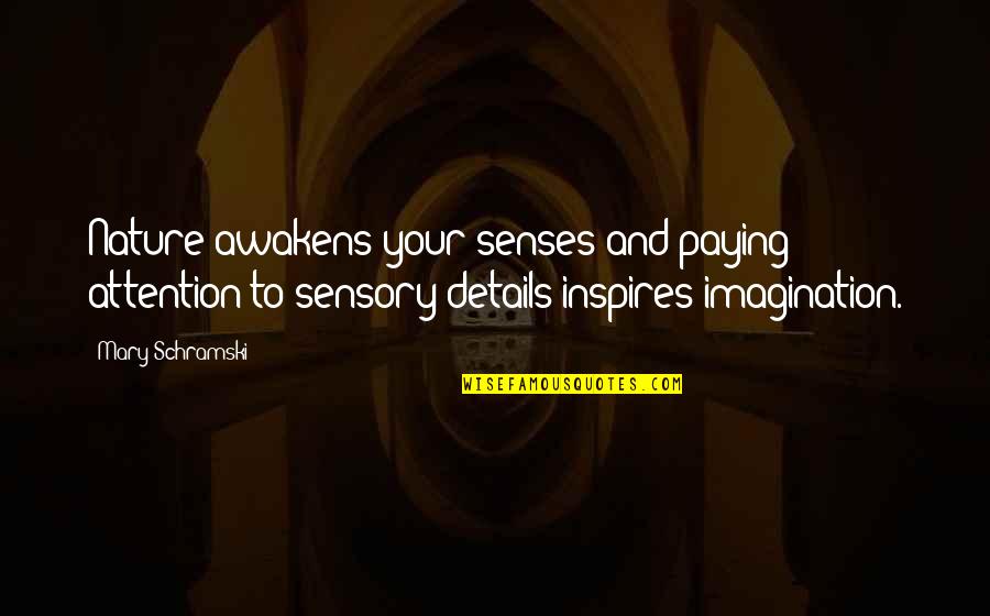 Sensory Details Quotes By Mary Schramski: Nature awakens your senses and paying attention to