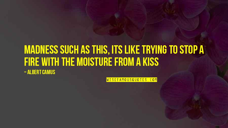Sentence Structure With Quotes By Albert Camus: Madness such as this, its like trying to