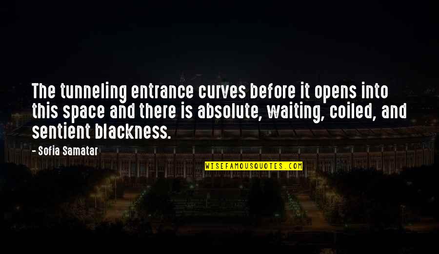 Sentient's Quotes By Sofia Samatar: The tunneling entrance curves before it opens into Sentient's Quotes By Sofia Samatar: The tunneling entrance curves before it opens into